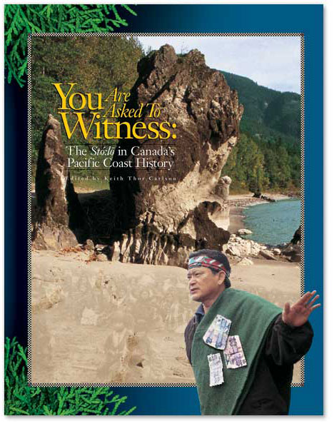 You are asked to Witness: book cover